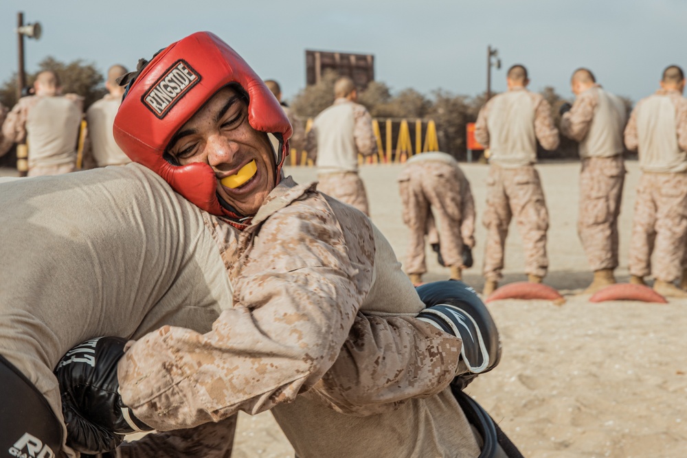 Alpha Company Body Sparring