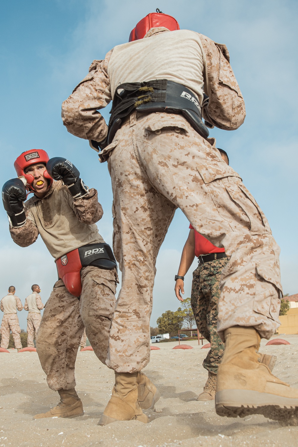 Alpha Company Body Sparring