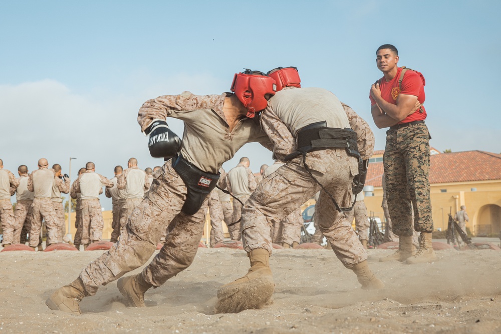 Alpha Company Body Sparring