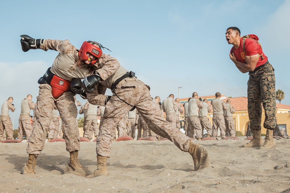 Alpha Company Body Sparring