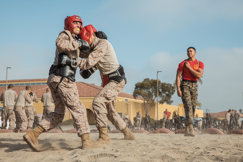 Alpha Company Body Sparring