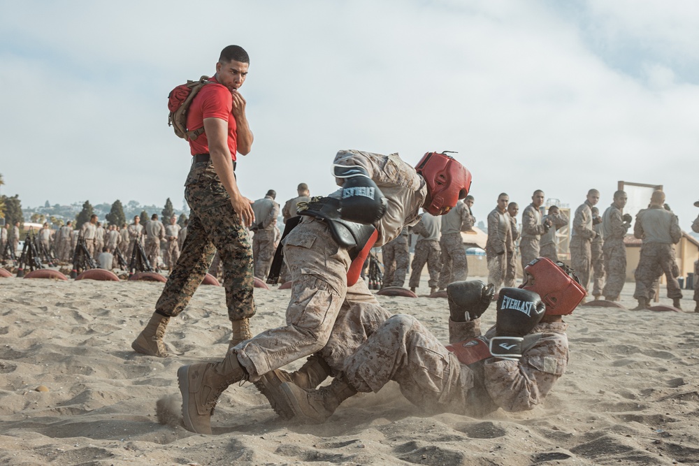 Alpha Company Body Sparring