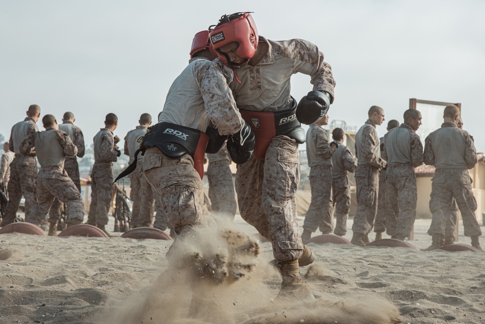 Alpha Company Body Sparring