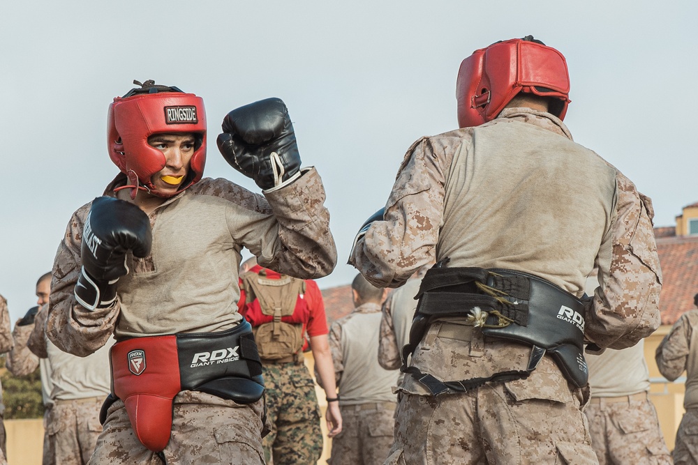 Alpha Company Body Sparring