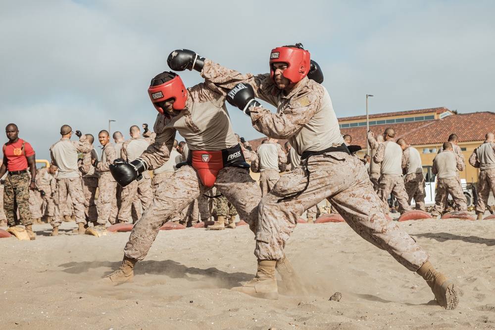 Alpha Company Body Sparring