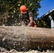 Chainsaw
