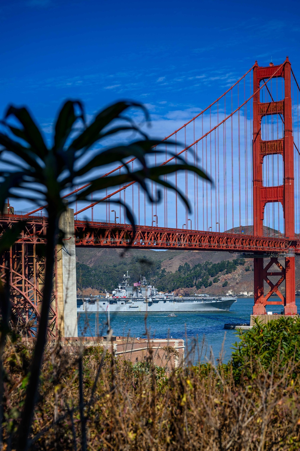 U.S. Navy Ships Arrive for SFFW 2024