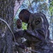 Tactical Water Purification System is set up in East TN