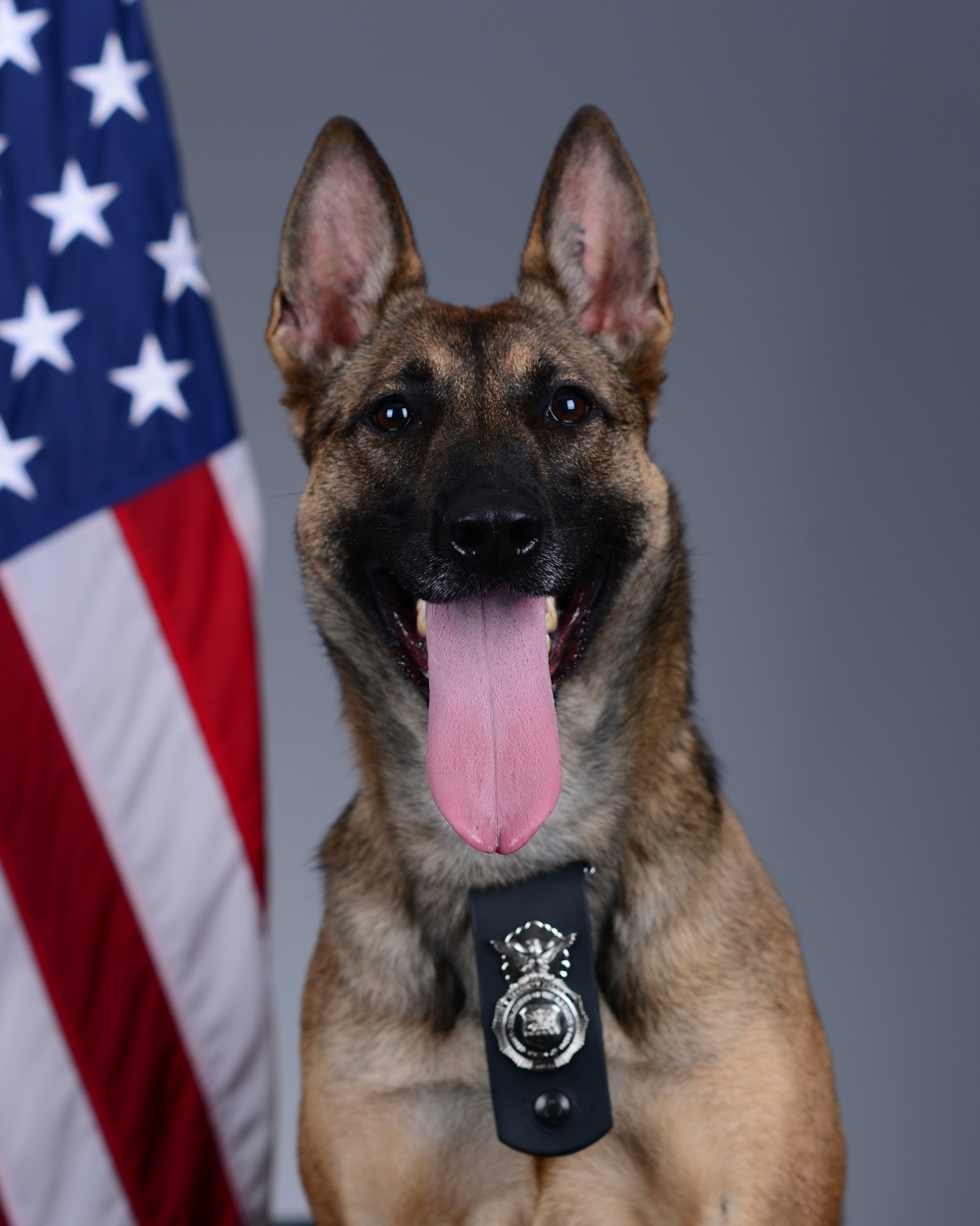 Liberty Wing MWD portraits