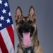 Liberty Wing MWD portraits