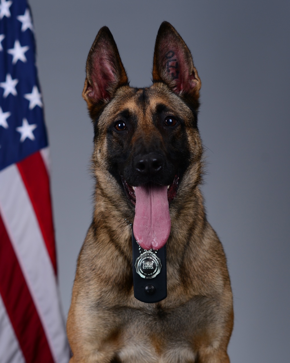 Liberty Wing MWD portraits