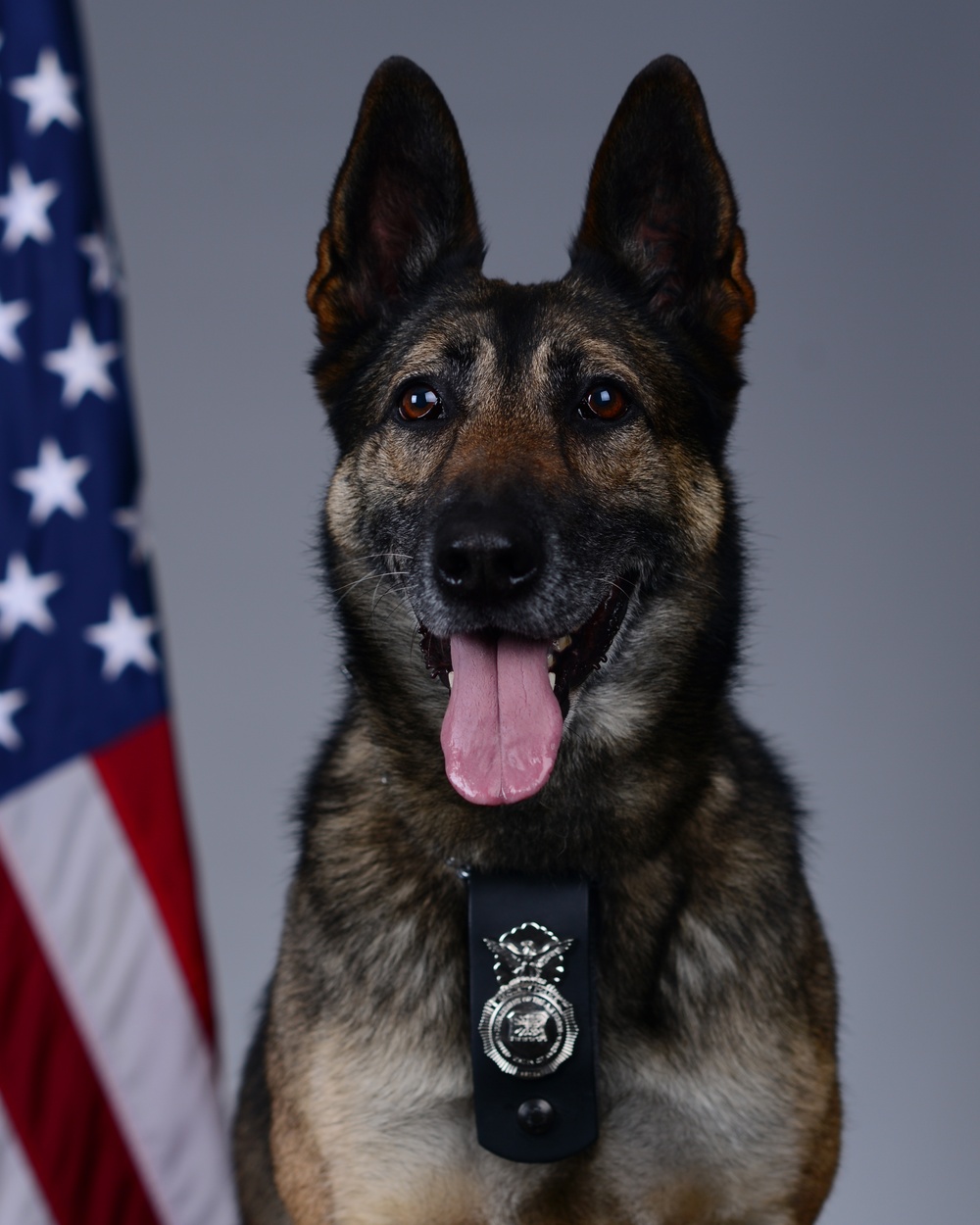 Liberty Wing MWD portraits