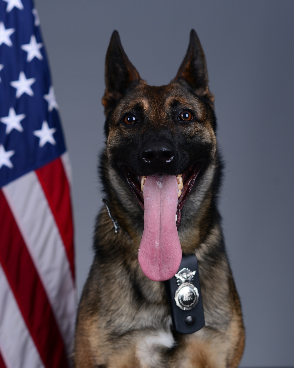 Liberty Wing MWD portraits