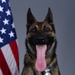 Liberty Wing MWD portraits