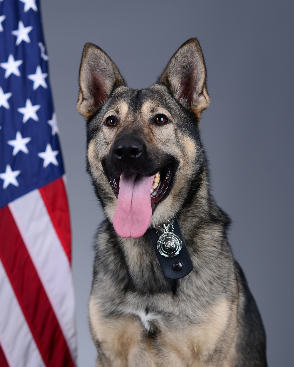 Liberty Wing MWD portraits