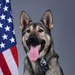 Liberty Wing MWD portraits