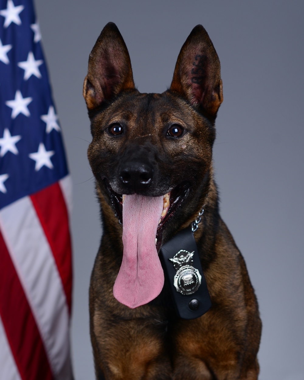 Liberty Wing MWD portraits