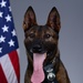 Liberty Wing MWD portraits