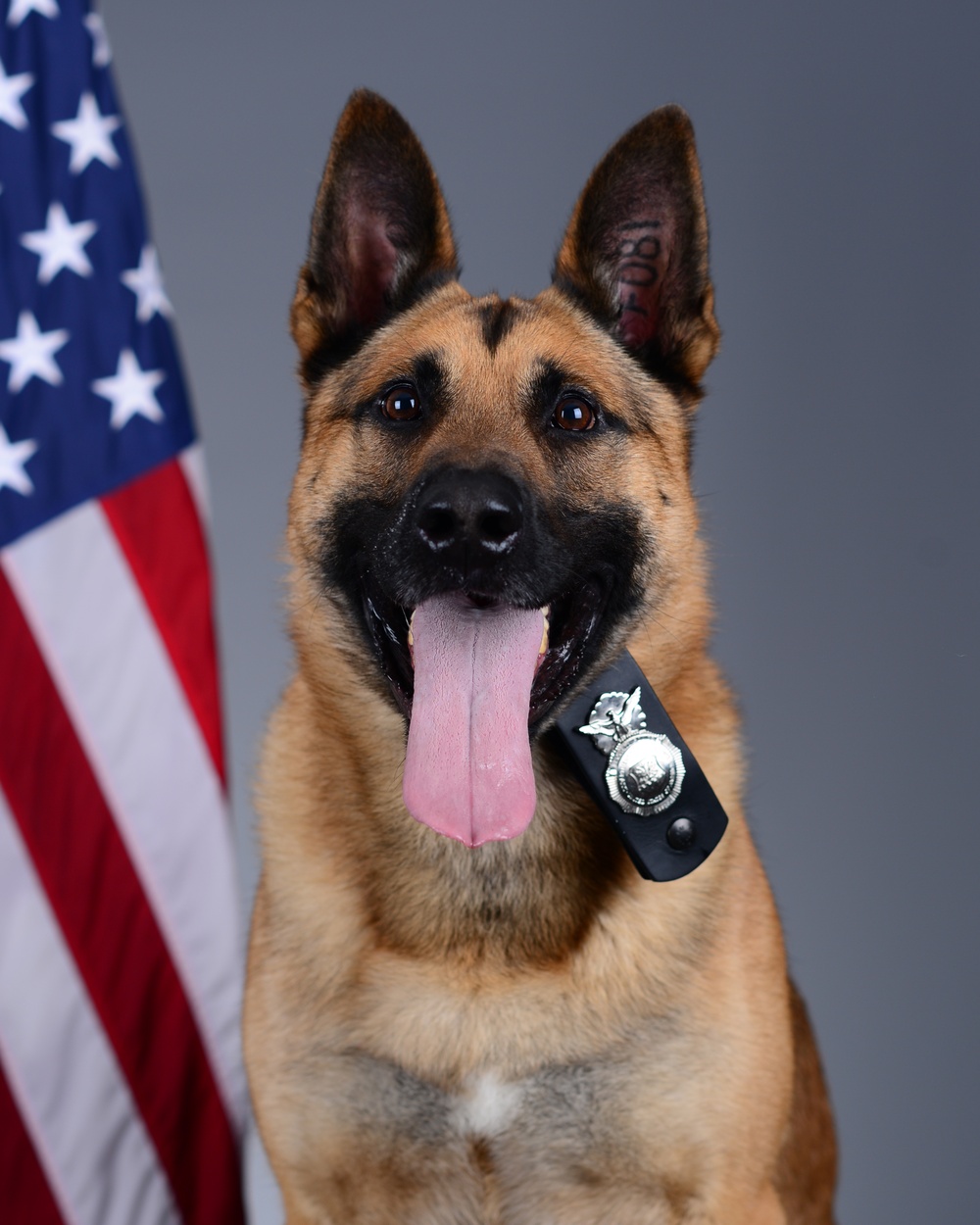 Liberty Wing MWD portraits