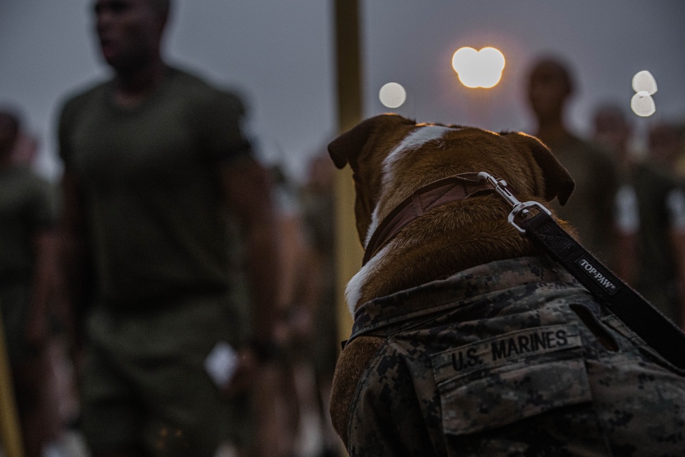 Drill Instructor School Class 1-25 PFT