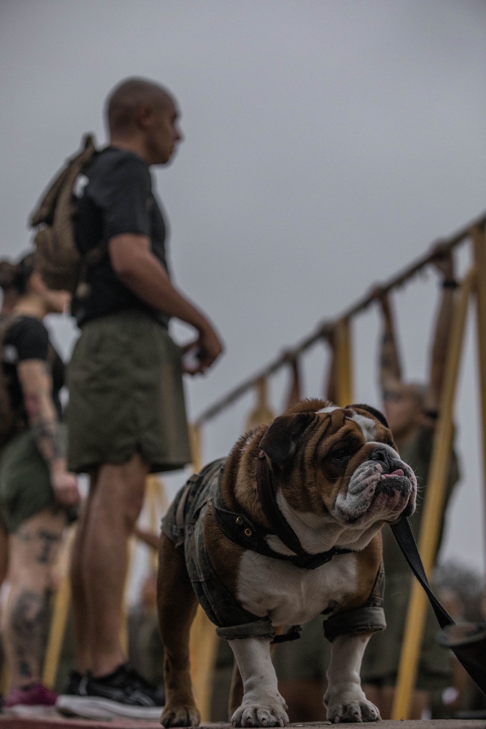 Drill Instructor School Class 1-25 PFT