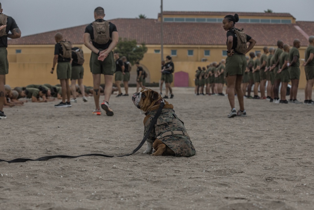 Drill Instructor School Class 1-25 PFT