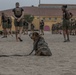 Drill Instructor School Class 1-25 PFT