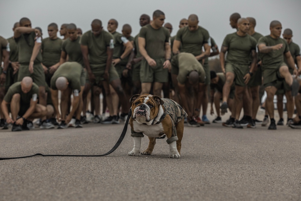 Drill Instructor School Class 1-25 PFT