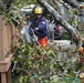 Debris From Hurricane Helene