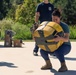 Marine Corps Officer trains for strongman competition