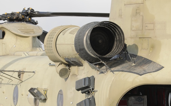 U.S. Army Soldiers from the 82nd Airborne Division help with hurricane relief