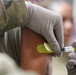 Fort Meade Garrison and U.S. Army Medical Department Activity Command Teams Receive Flu Shots