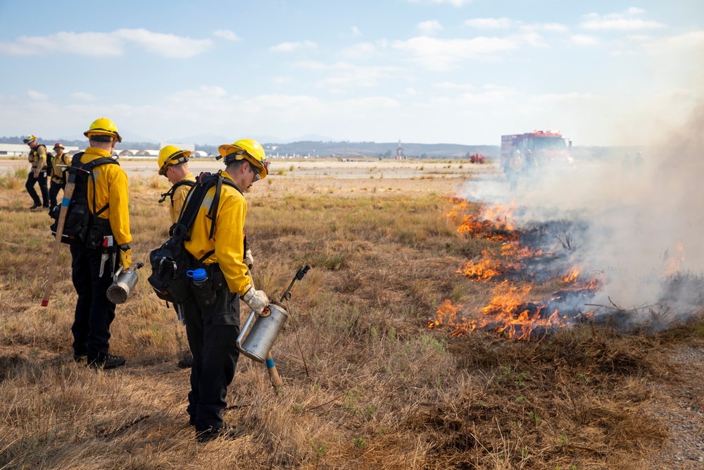 Prescribed Burn 2024