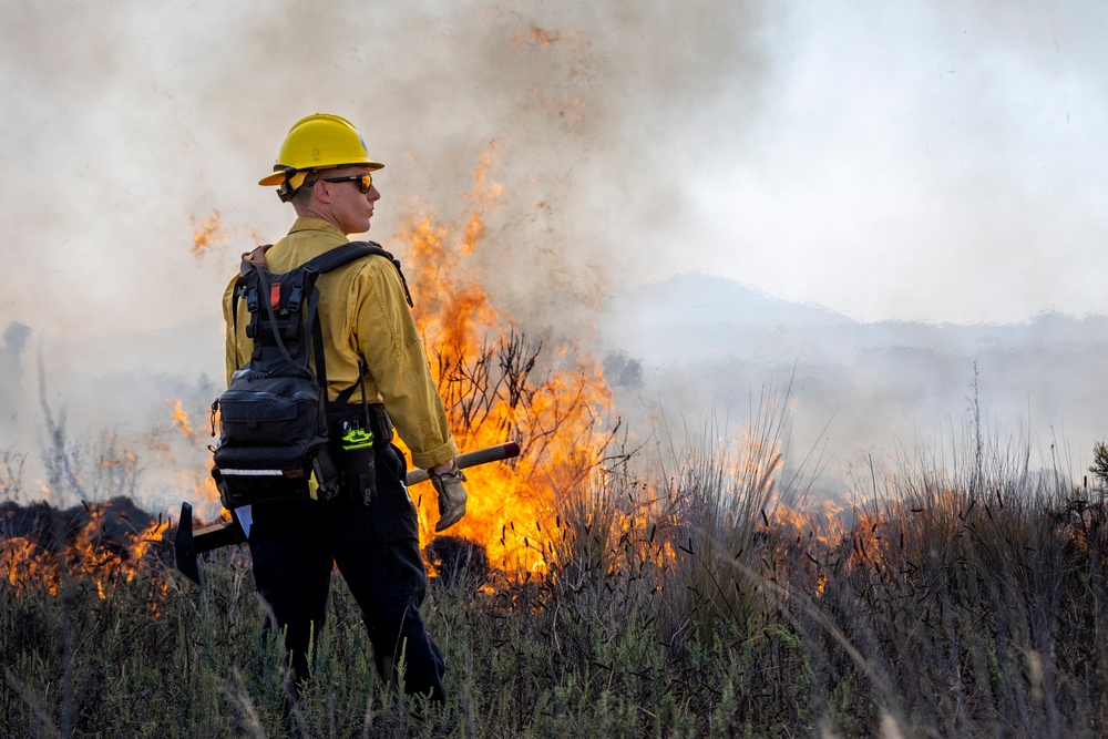 Prescribed Burn 2024