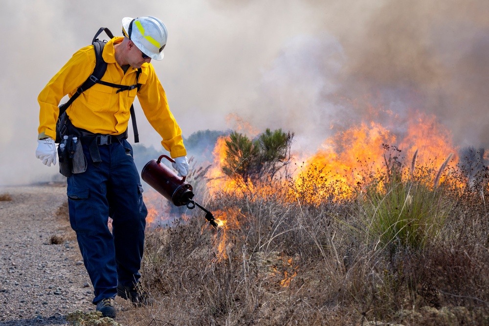 Prescribed Burn 2024