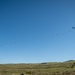 Arctic Angels Conduct Airborne Operations During JPMRC 25-01