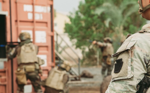French and U.S. forces conduct close quarter combat training.