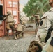 French and U.S. forces conduct close quarter combat training.