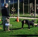 7th Army NCOA Students Conduct ACFT