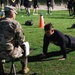 7th Army NCOA Students Conduct ACFT