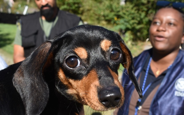 DSA Teams Canvass Areas in Washington County in Virginia Affected by Hurricane Helene