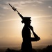 Sentinel U.S. Army Spc. Jessica Kwiatkowski Conducts Her Last Walk at the Tomb of the Unknown Soldier