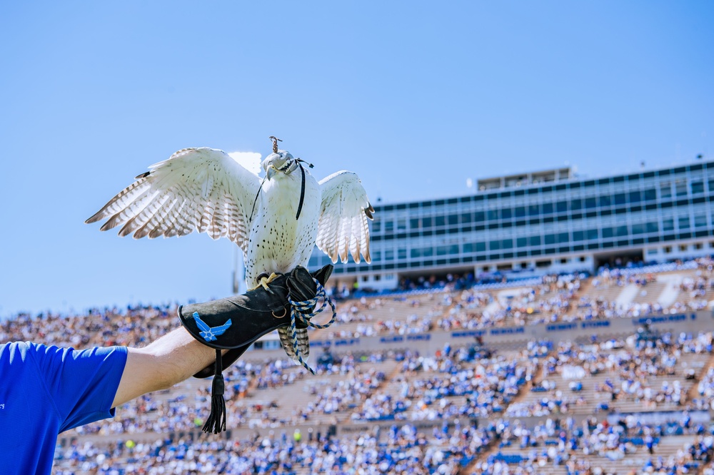 USAFA Football vs Navy 2024