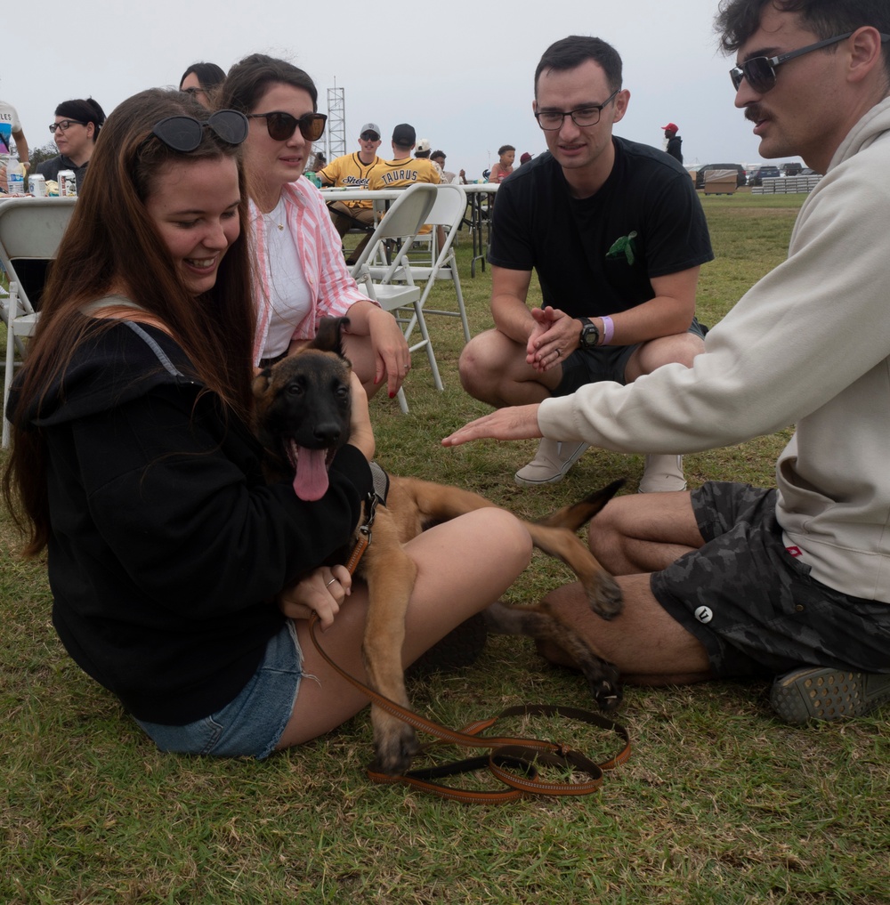 USS Carl Vinson Holds Command Picnic and Resource Fair