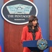 Pentagon Press Briefing