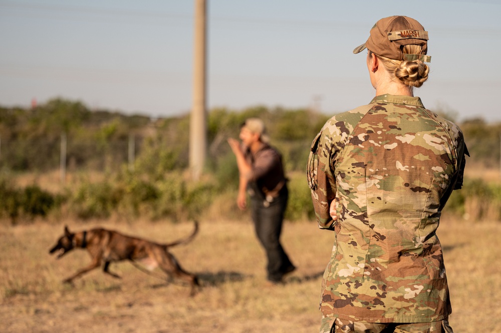 Miss America gets bit by military working dog