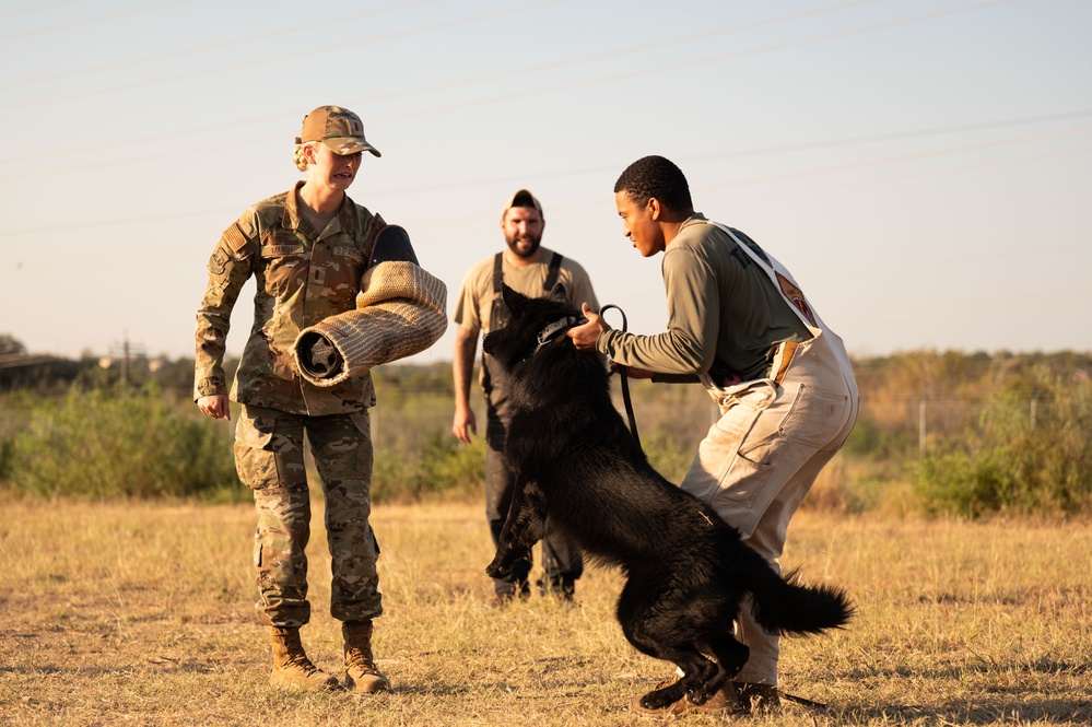 Miss America gets bit by military working dog