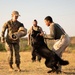 Miss America gets bit by military working dog