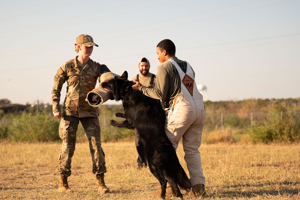 Miss America gets bit by military working dog