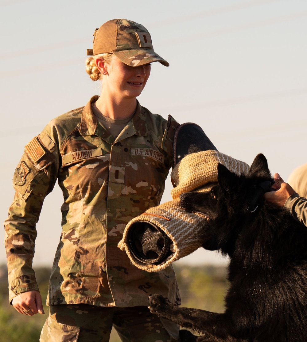 Miss America gets bit by military working dog